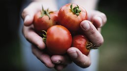 Food security